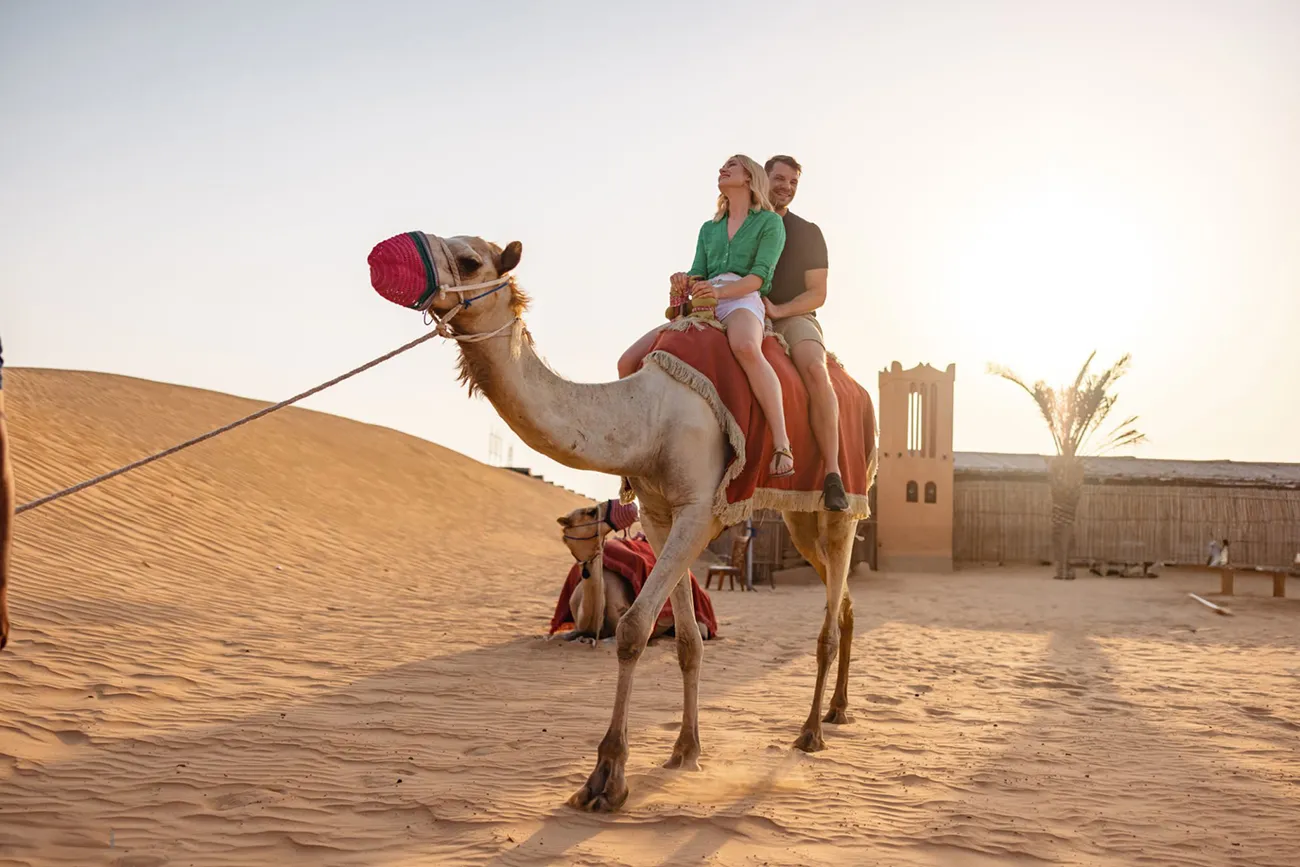travel & Tours (1170)